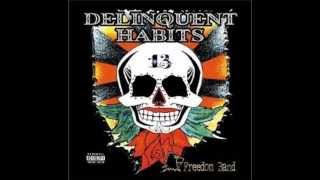 Hey Tell&#39;em - Delinquent Habits