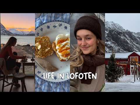 slow winter days in lofoten, norway