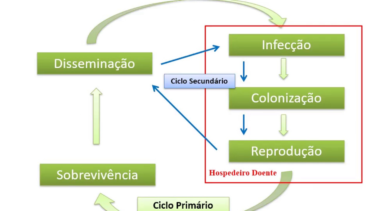 Aula 03 - Ciclo das Relações Patógeno-Hospedeiro