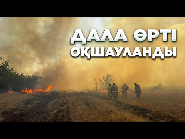 Жаңалықтар. 04.08.2023 күнгі шығарылым