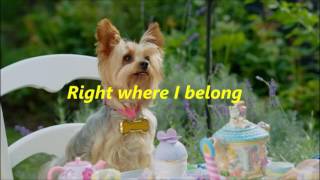 Pup Star - Tiny - Right Where I Belong - Lyrics!
