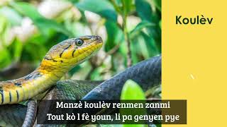 Lakou Kajou _ Ki sa reptil ye