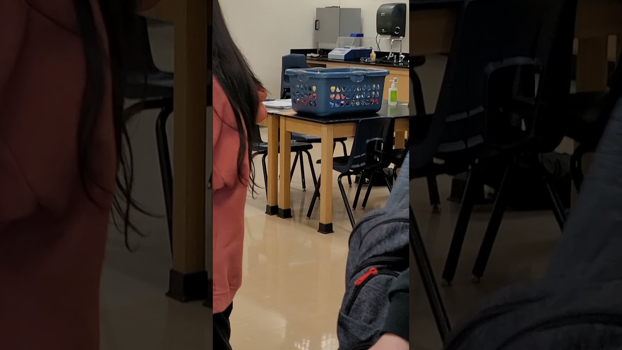 our school's spirit day was 