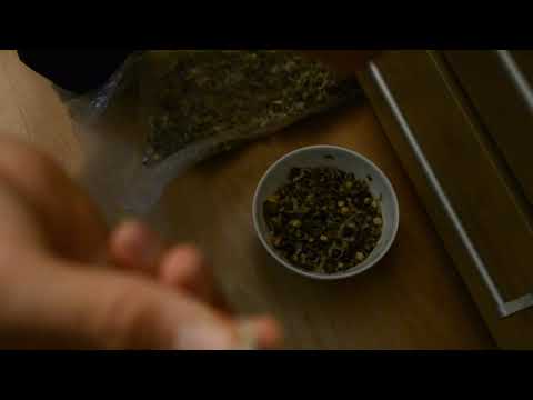 Moringa Samen einpflanzen