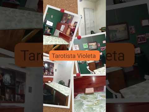 Tarotista Violeta En Pergamino Pcia de Buenos Aires Argentina