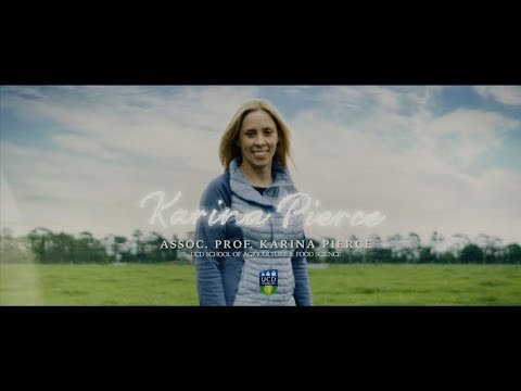 UCD Think Bigger - Expert Teaching - Assoc. Prof. Karina Pierce - 30 sec CAO