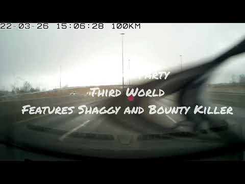 Bounty Killer - Third World - Shaggy _ Reggae Party