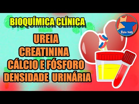Avaliação laboratorial da Função Renal | introdução (Parte 1) - Medicina veterinária