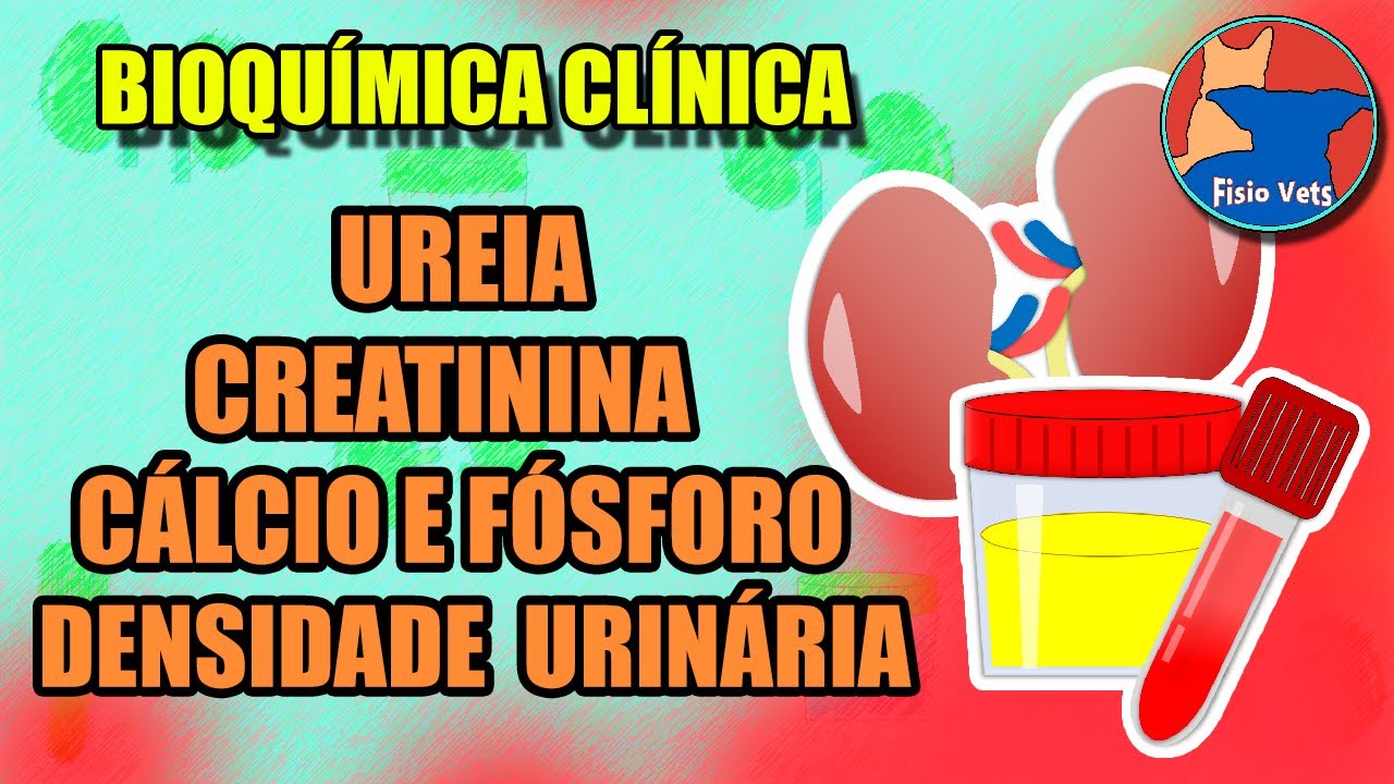 Avaliação laboratorial da Função Renal | introdução (Parte 1) - Medicina veterinária