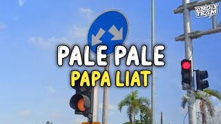 Download lagu DJ PALE PALE X PAPA LIAT MASHUP OLD - STYLE THAILAND VELOCITY || slowed   reverb || VIRAL TIKTOK!!! mp3