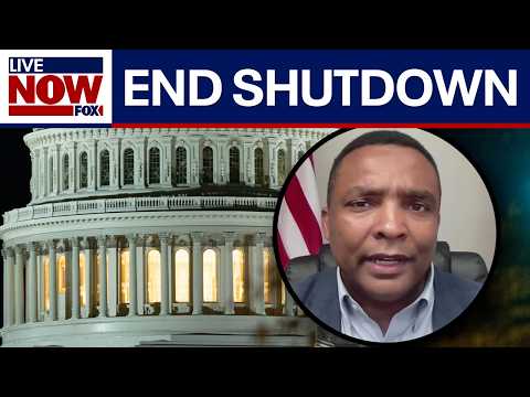 Video | WATCH: House Democrat explains why he voted to end shutdown