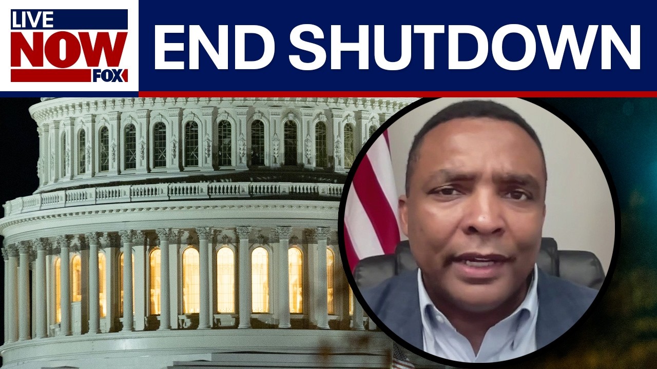 WATCH: House Democrat explains why he voted to end shutdown