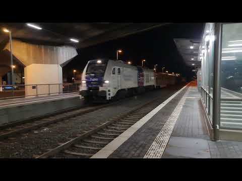 Stadler Eurodual 6000 HHPI 20-02 (90 80 2159 202-1-D-RCM mit Holzzug durch Meschede am 30.01.2021