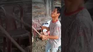 Download lagu VIRAL..pemain gondang lucu  .sangat menyenangkan. mp3