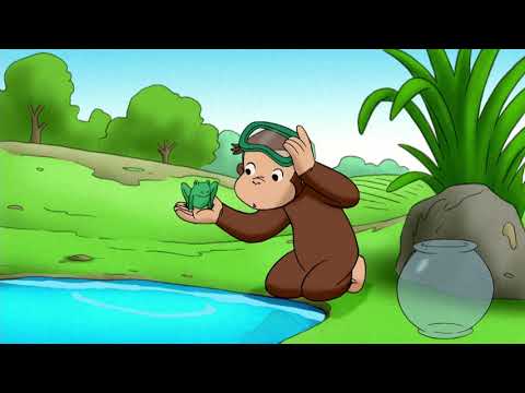 Capa de George o Curioso - O tandeiro