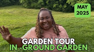 Garden Tour 2: Outside Garden and Squash Bugs Arrived:-(