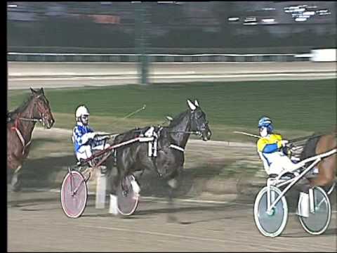 Trotto 17/02/2017 - 8ª corsa