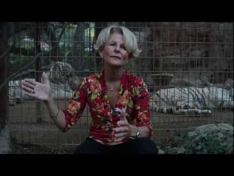 Competitive Greatness 24/7: Sue Enquist at TEDxIrvine