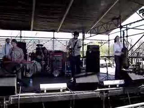 Johnny Viola - Shearwater