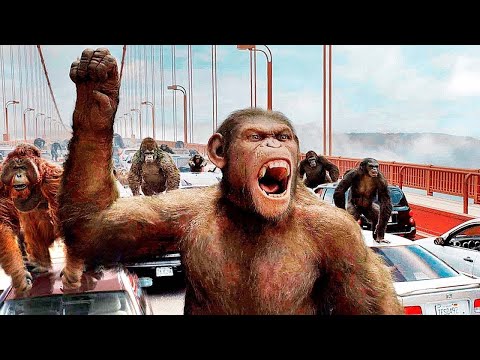 Az emberek és a rendkívül intelligens majmok csatája