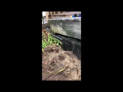 Skunk Removal in Tinton Falls,  NJ