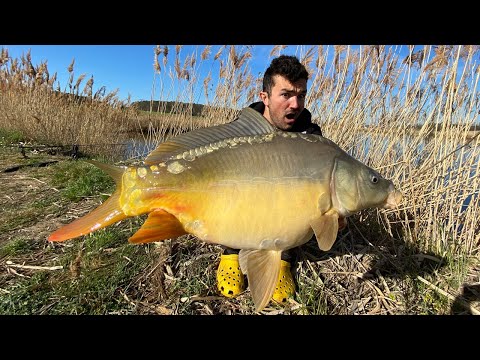 Erfolgreich Karpfenangeln am Weiher. #Platzwahl (1/5)