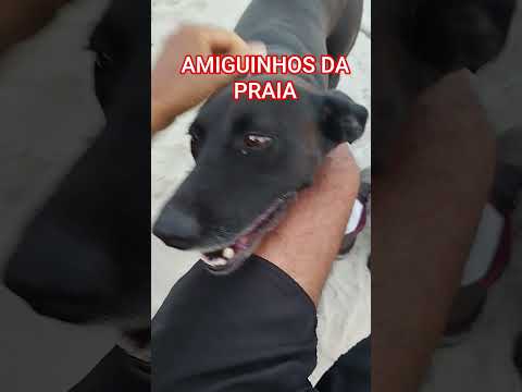 Na Praia do Pilar, na Ilha de Itamaracá