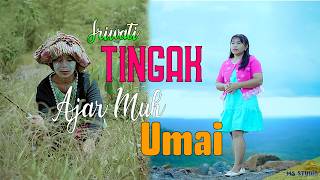 Download lagu Tingak Ajar Muh Umai * SRIWATI * M/V #lagudayakterbaru mp3 Download lagu Tingak Ajar Muh Umai * SRIWATI * M/V #lagudayakterbaru mp3
