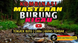 Download lagu KOMBINASI MASTERAN : Tengkek Buto | CILILIN | Kapas Tembak [BACKSOUND GEMERICIK AIR] mp3