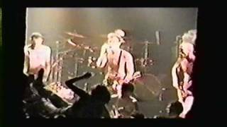 311- &quot;T&amp;P COMBO&quot; 8-24-1995 ***RARE*** TREES LIVE