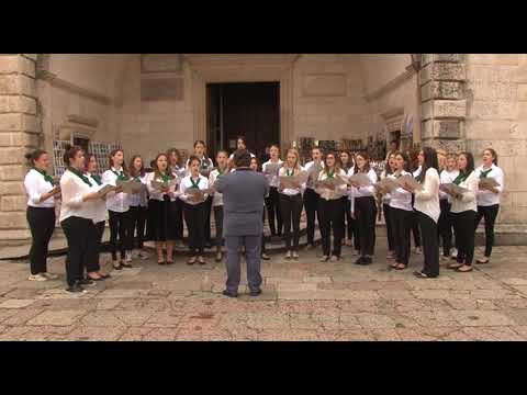 Kotor - Hor učenika ŠOSMO Vida Matjan iz Kotora 9.maj Dan Evrope