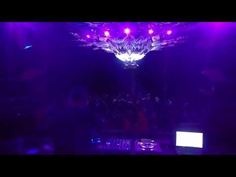 Omnivox live @ Connection festival 2017