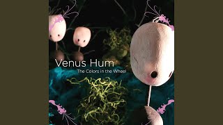 Music video thumbnail preview for 72 Degrees by Venus Hum