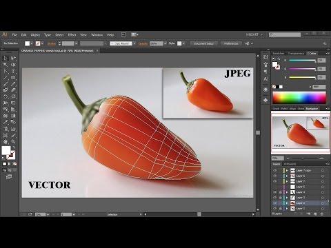 The Mesh Tool - Coloring and Shading - Adobe Illustrator