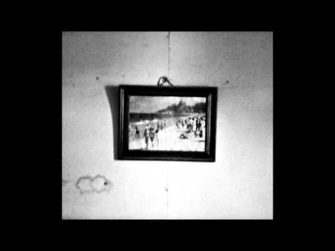 Pato patin - Las ratas