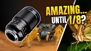 Is the Laowa 90mm 2x Macro for Micro Four Thirds Actually Worth It?