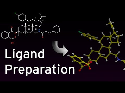 [OUTDATED] Ligand Preparation with LigPrep