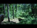 Avoiding Trail Cameras