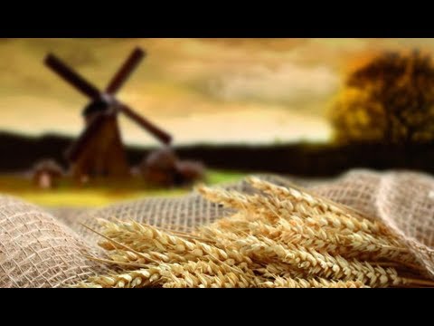 НАРОДНЫЕ ПРИМЕТЫ НА 24 ОКТЯБРЯ – ФИЛИППОВ ДЕНЬ