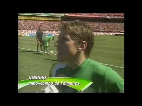 Internacional 2 x 1 Palmeiras - Campeonato Brasileiro 2005