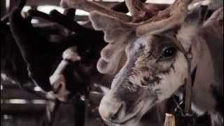 Message From Santa ( Dad )