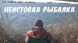 Отчеты о рыбалке на оке рязанская область 2020