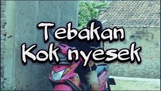 Download lagu Tebakan kok nyesekk, vidgram kocak ngakak abis? mp3 Download lagu Tebakan kok nyesekk, vidgram kocak ngakak abis? mp3