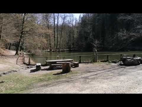 01.04.2021 - Fünfweiher - Lenzburg - (AG) - Switzerland 🇨🇭