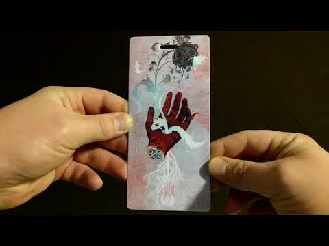 Linkin Park Underground 17  Deluxe Bundle Unboxing