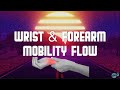 🧘‍♂️ WRIST & FOREARM MOBILITY FLOW | BJ Gaddour Wrists Pushup Mobility Warmup Exercises Fitness Gym