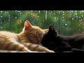 Rain Thunder 4 Hours Of Relaxation Sleep Within 10 Minutes