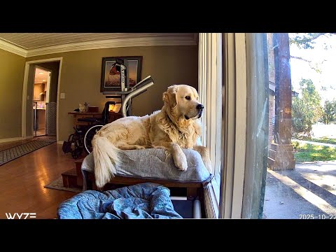 102025 Jazer CSAT Mission #W42 4