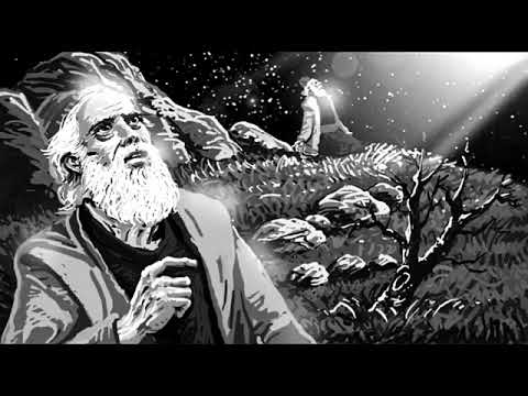 (Daddy Abraham) - Djimidy Flow