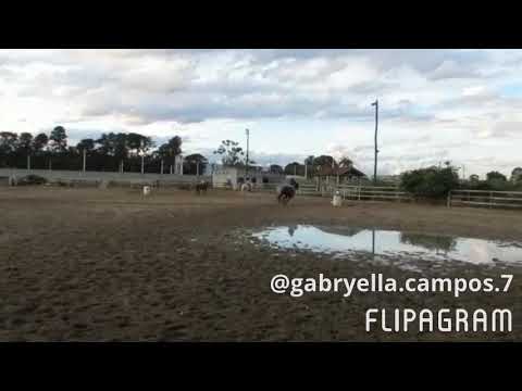 ✨ Treino de Três tambores com o gamão ✨ 50 tons de roxo